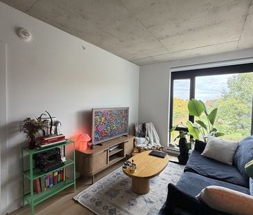 1 Bdr 1bthr - Photo 2