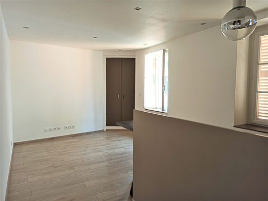 Location Appartement 1 pièce 27m² VIENNE 38200 - Photo 1