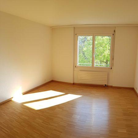"Wohnung im Sonnenpark" - Photo 2