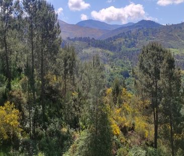 Moradia T4 - Photo 2