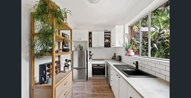 Bright Courtyard Gem in Marrickville - Photo 1