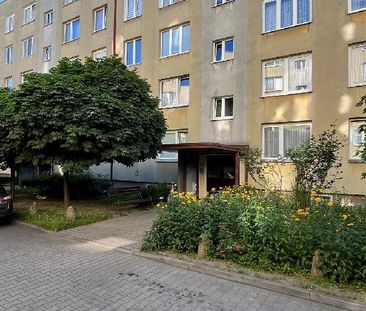 Mieszkanie Częstochowa Tysiąclecie powierzchnia 31.1 m² C225-WM-52092 - Zdjęcie 2