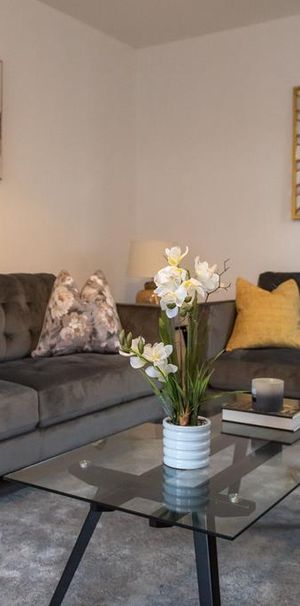 3 bedroom house to rent - Photo 1