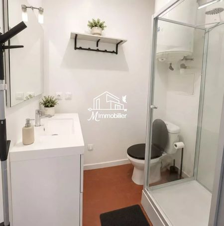 Location Appartement 1 pièce 26m² NARBONNE 11100 - Photo 5