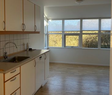 Risvænget 7B, Birkende - Enderækkehus 85 m3 i roligt vænge - Photo 3