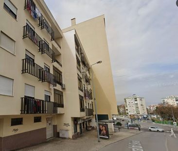 Amora, Setúbal Municipality - Photo 6