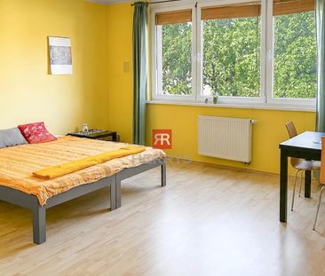 Realitná kancelária HERRYS ponúka na prenájom 1-izbový byt v Devíns... - Photo 3