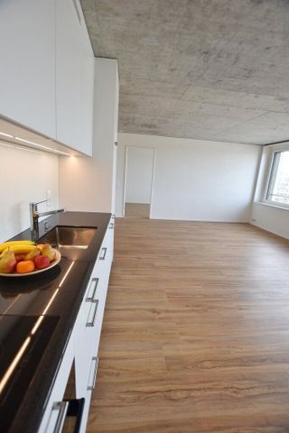 Appartement moderne de 2,5 pièces avec grande terrasse commune sur le toit - Photo 4