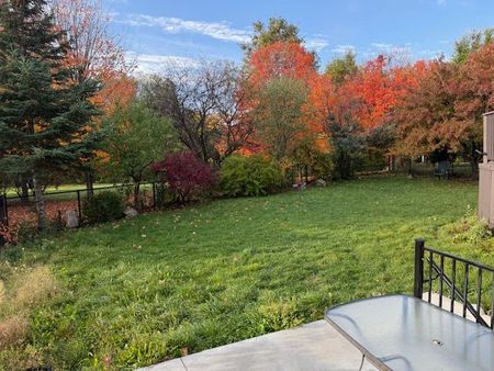 For Lease - 12 Cobblestone Court Unit# (Basement), Brampton, Ontario - Photo 5