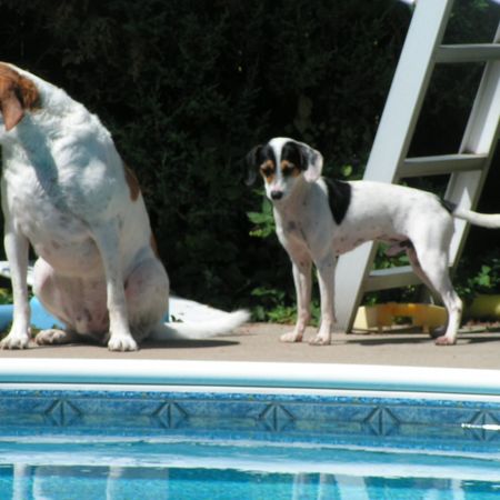 voice over artist - Photo 4