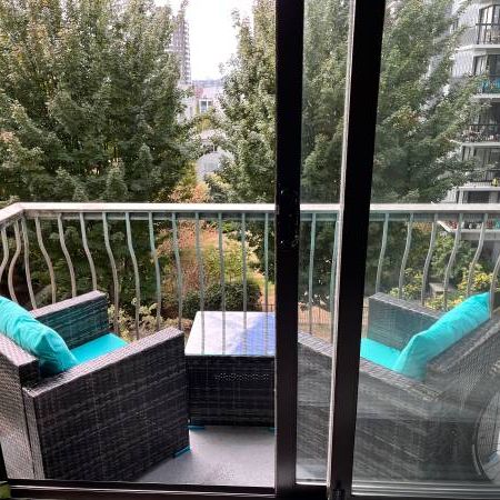 **Newly renovated** 1bedroom apartment downtown Vancouver/Davie Villge - Photo 4