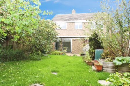 3 bedroom semi-detached house to rent - Photo 5