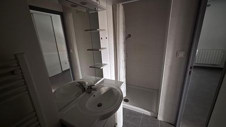 Location Appartement 1 pièce 20m² CLERMONT FERRAND 63000 - Photo 4