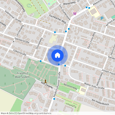 Niederhofheimer Straße 14, 65812, Bad Soden Am Taunus