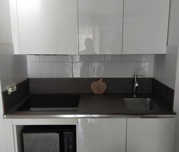 Location Appartement 1 pièce 29m² NICE 06300 - Photo 3