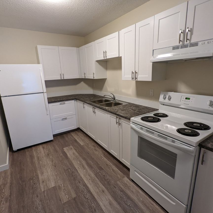 Charming 1 Bed 1 Bath Apartment in heart of DOWNTOWN Red Deer - Photo 1