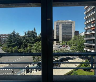 Paseo de la Castellana, Madrid, Community of Madrid - Photo 6