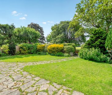 2 bedroom detached bungalow to rent - Photo 6
