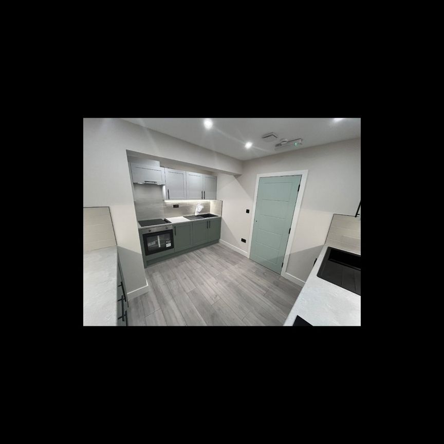 Studio Flat, Palace Road, SW2 - Photo 1