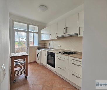 Appartement - à louer - Photo 2