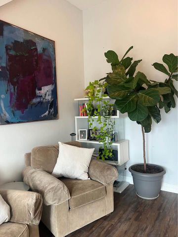 For Lease - 244 Bathurst Street, Toronto, Ontario - Photo 5