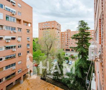 Estudio - Madrid - Palomeras Sureste - 1.050€ MES - Ref. JA223 - Photo 6