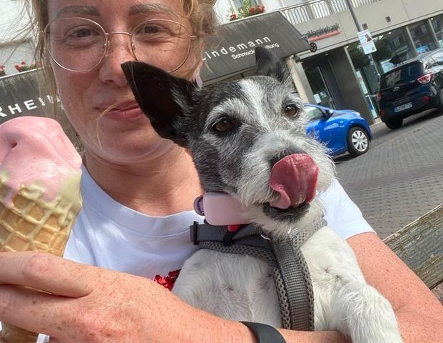 Dringend Wohnung gesucht Heidelberg/ Mannheim - Photo 1