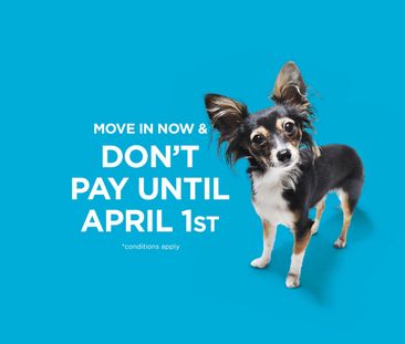 One Bedroom One Bath - Photo 6