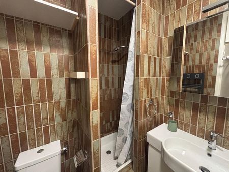 Location Appartement 1 pièce 20m² ANGERS 49100 - Photo 4