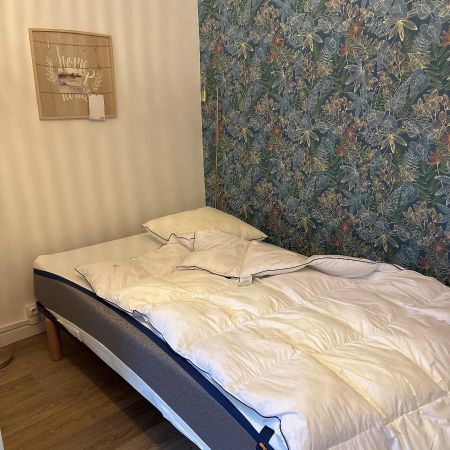 Location Appartement 1 pièce 13m² VALENCIENNES 59300 - Photo 3