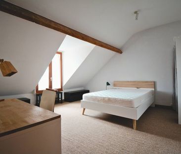 Coliving grande maison au coeur de Nantes - Photo 2