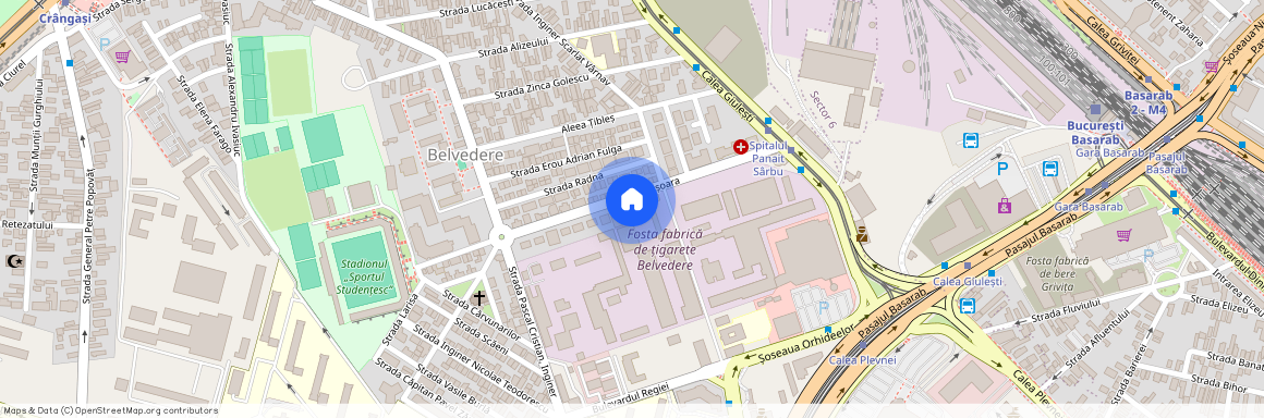 Regie, Bucuresti