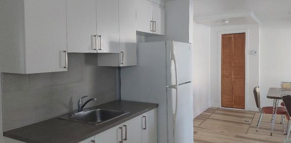 3 et demi Farnham. rénové, moderne, droit au chat, proche de tout ! - Photo 2