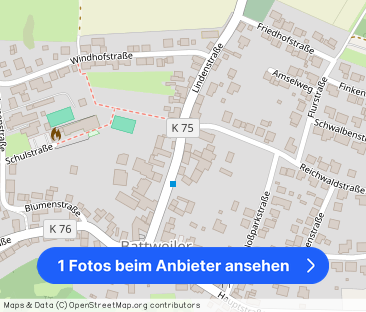 Großzügige 2-Zimmer-Erdgeschosswohnung in Battweiler mit Kamin - Foto 1