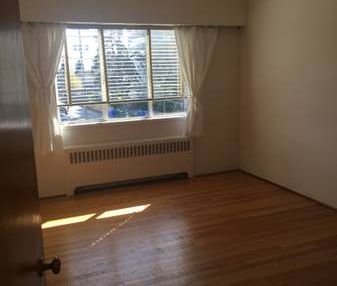 Large bright 1 bedroom and 1 bath in heart of Kerrisdale - Photo 3