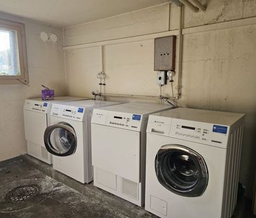 2 Zimmer, EG - Photo 4