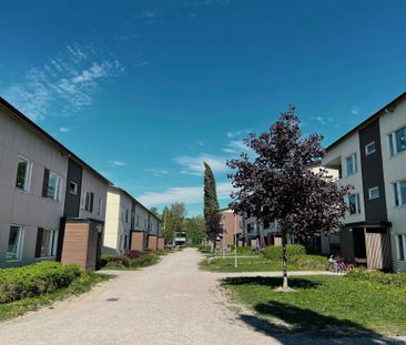 Söndagsvägen 264 - Foto 1