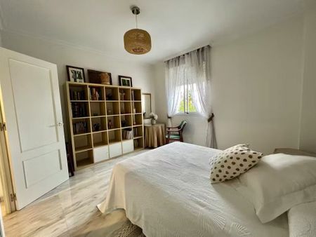 Plaza Amoríos, Sevilla, Andalusia 41020 - Photo 3