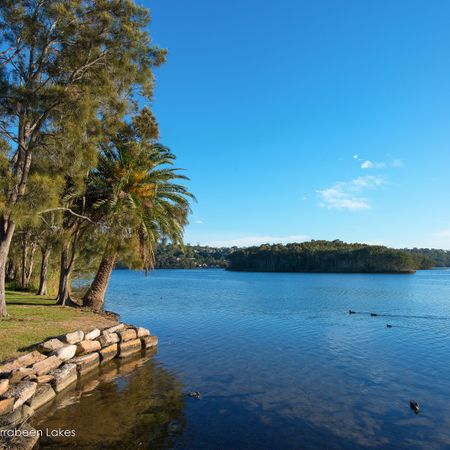 4/20 Waterloo Street, Narrabeen NSW 2101 - Studio For Rent | Domain - Photo 4