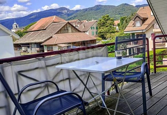 Ravissant Appartement - GIVRINS - Foto 1