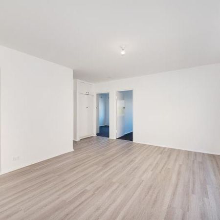 1/47 Oberon Street, Randwick, NSW 2031 - Photo 3