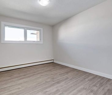 Renovated Suite - 1 Bedroom - Photo 6