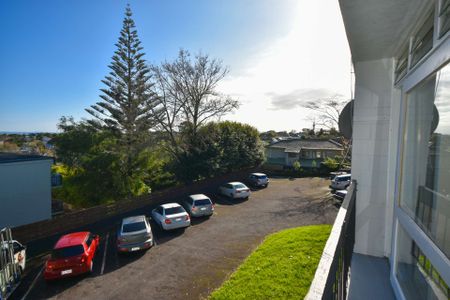 No frills apartment studio in Mt Eden - Photo 2