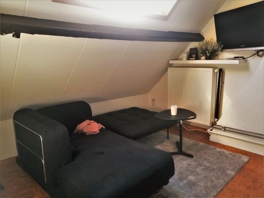 Doorniksesteenweg 5 Duplex, ALL IN, kan voor 2, kamer DUPLEXSTUDIO, eventueel voor 2 - Foto 1