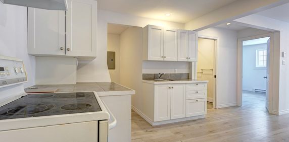 3 1/2 Rénové St-Eustache - Libre - Photo 2