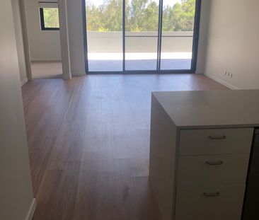 3111/4 Oaky Creek Road, Coomera QLD 4209 - Apartment For Rent | Domain - Photo 4