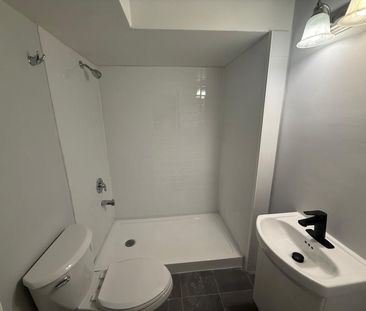 For Lease - 55 Purdy Crescent Unit# Basement, Toronto, Ontario - Photo 3