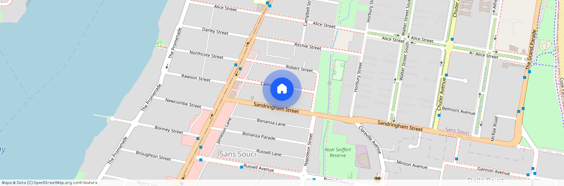 25 Camille Street, NSW 2219, Sans Souci