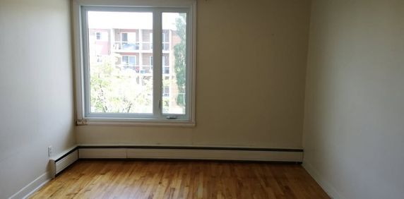 Disponible 1er Mai - Photo 2