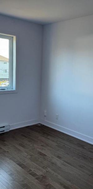 Magnifique Maison à louer neuve - La Chute - Photo 1